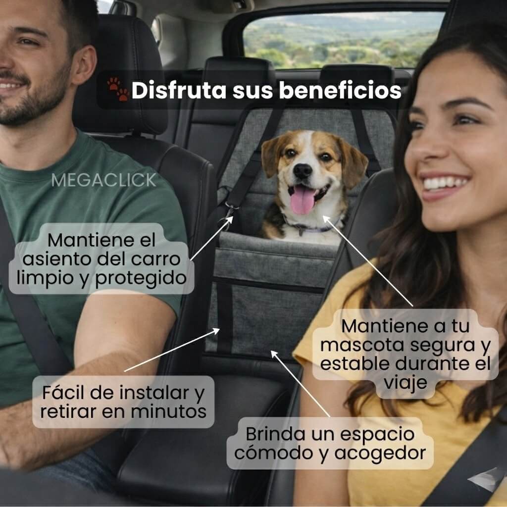 🐾La forma más segura y cómoda de viajar con tu mascota🐾