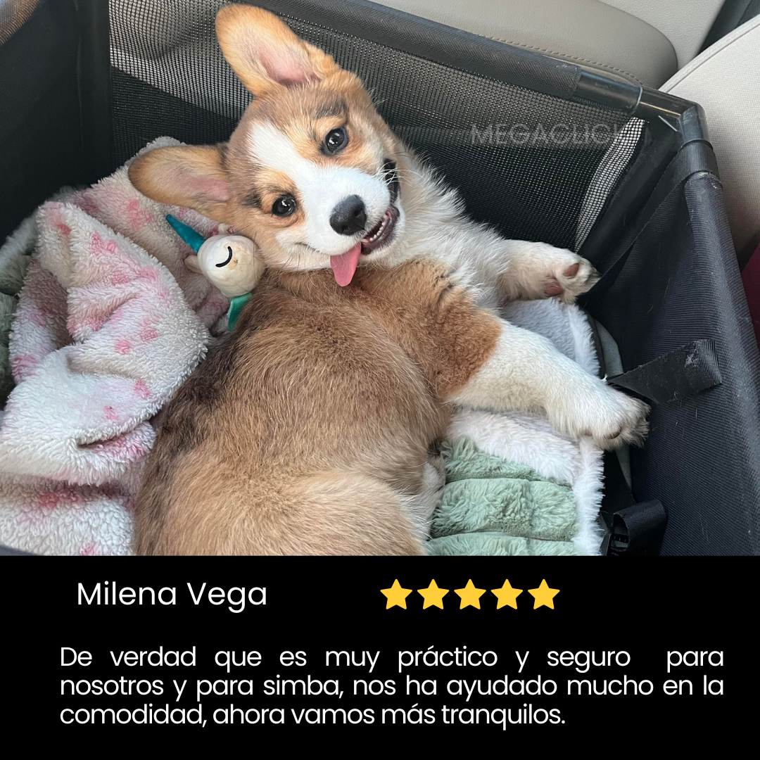 🐾La forma más segura y cómoda de viajar con tu mascota🐾
