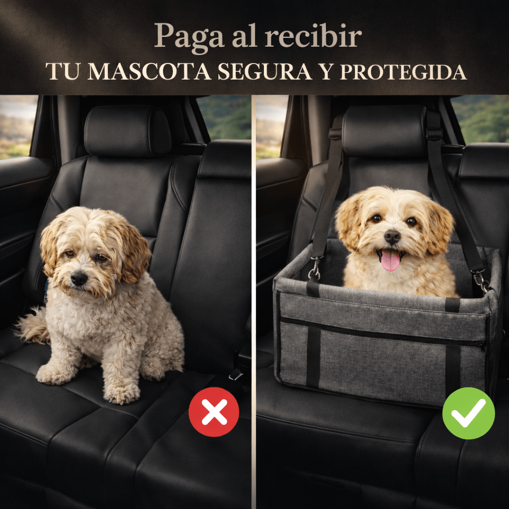 🐾La forma más segura y cómoda de viajar con tu mascota🐾