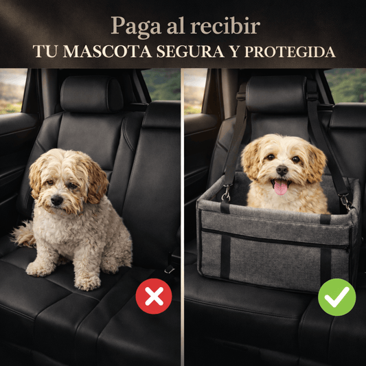 🐾La forma más segura y cómoda de viajar con tu mascota🐾
