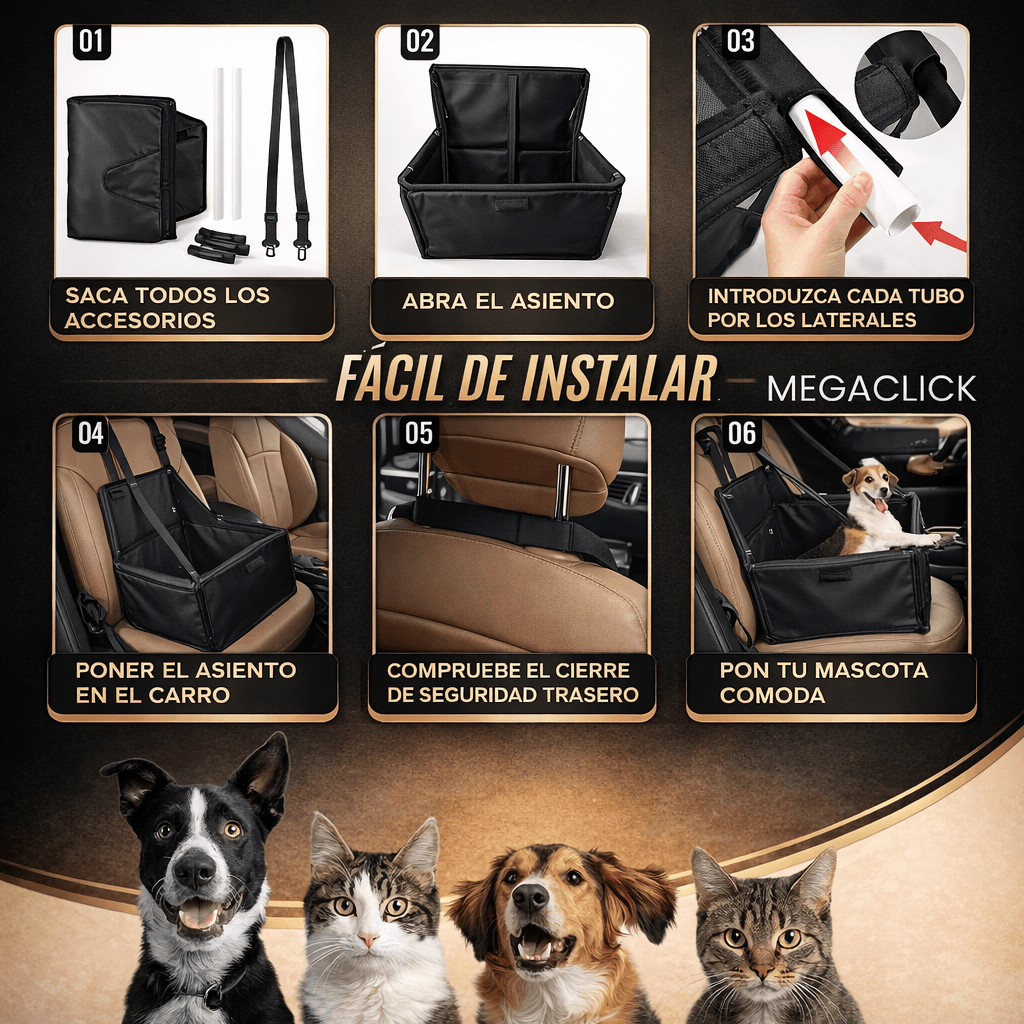 🐾La forma más segura y cómoda de viajar con tu mascota🐾