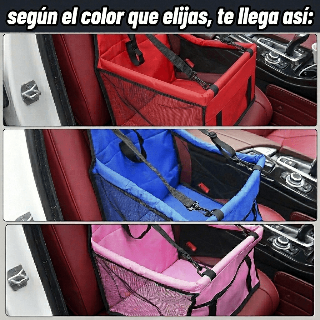🐾La forma más segura y cómoda de viajar con tu mascota🐾