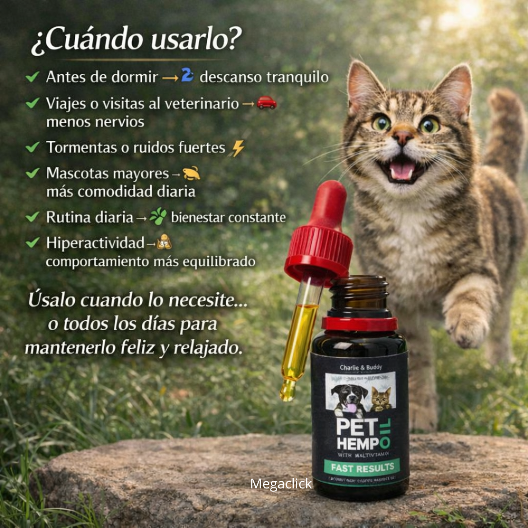 🌿ORO VERDE: Calma Natural y Bienestar Diario para Tu Mascota