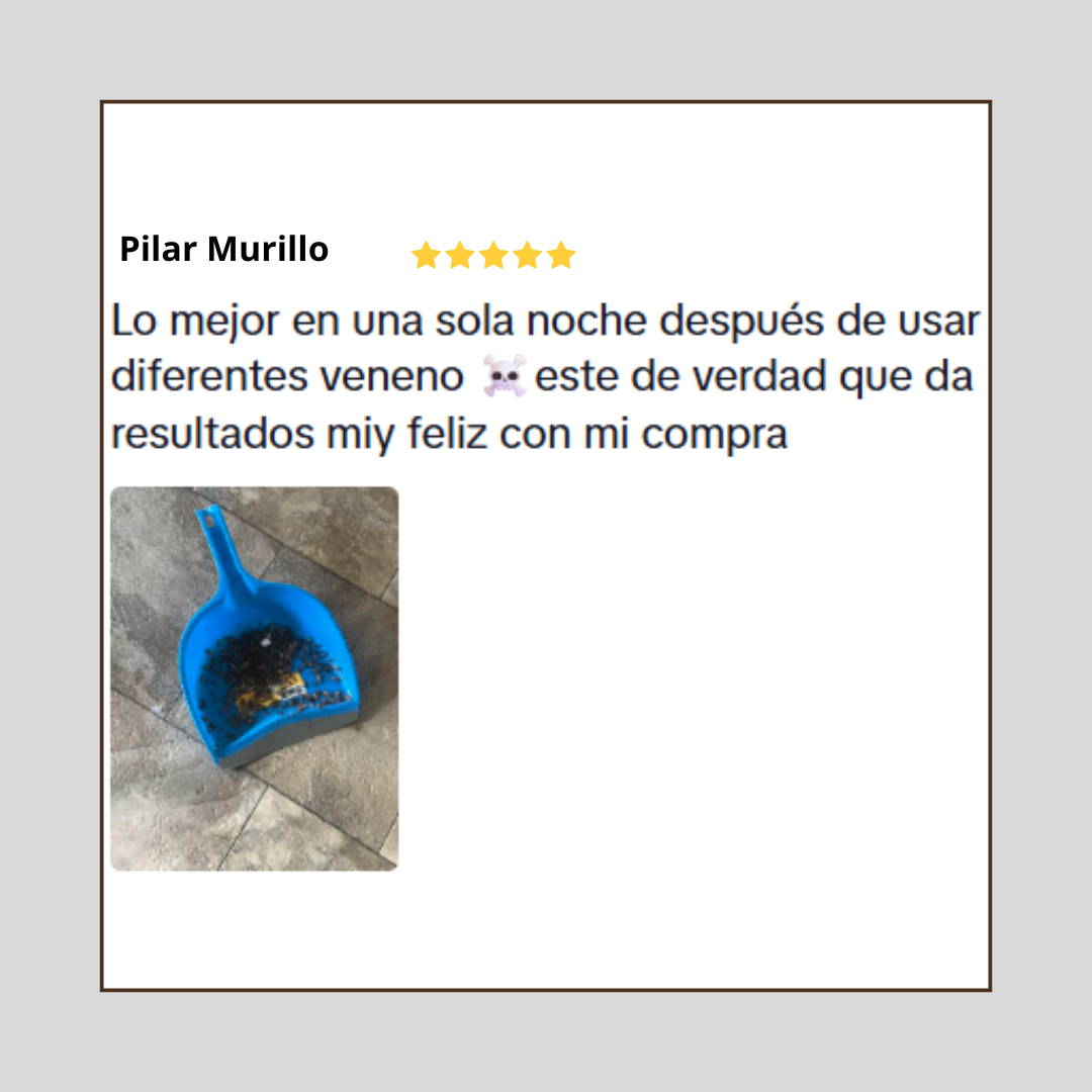 Gota Maestra - exterminación total desde el nido